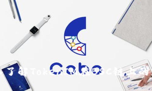 ### 深入了解TokenIM在BSC链上的应用与操作
