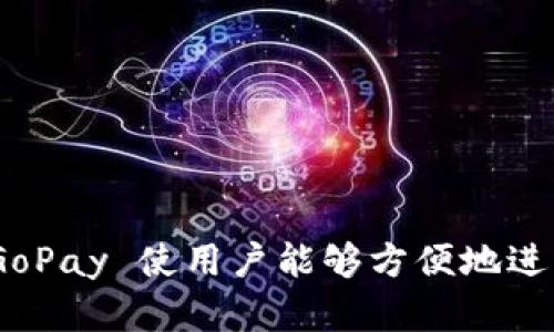 GoPay 钱包是印尼的数字支付平台。它最初是作为 Go-Jek 的一部分推出的，Go-Jek 是一个提供打车、外卖和其他服务的超级应用。GoPay 使用户能够方便地进行各种在线支付，包括购物、餐饮、账单支付和其他多种交易。随着数字支付的普及，GoPay 逐渐发展成为印尼最受欢迎的电子钱包之一。