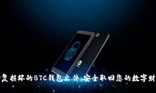 修复损坏的BTC钱包文件：安全取回您的数字财富