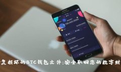 修复损坏的BTC钱包文件：安全取回您的数字财富