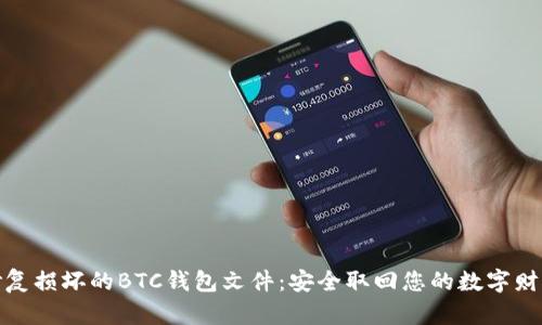 修复损坏的BTC钱包文件：安全取回您的数字财富