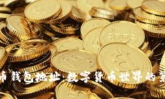 探秘虚拟币钱包地址：数字货币世界的