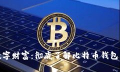 保卫你的数字财富：彻底了解比特币钱