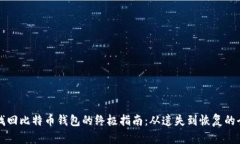 成功找回比特币钱包的终极指南：从遗