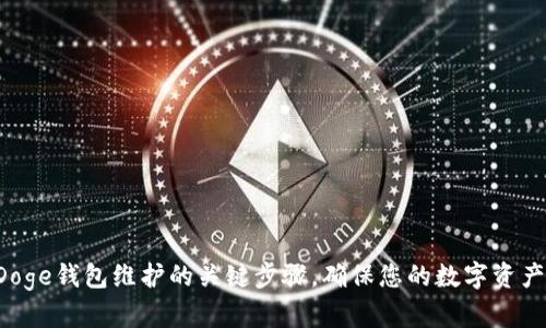 探索Doge钱包维护的关键步骤,确保您的数字资产安全!