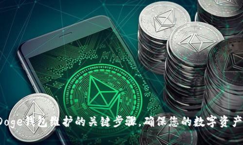 探索Doge钱包维护的关键步骤,确保您的数字资产安全!