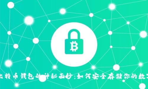揭开比特币钱包的神秘面纱：如何安全存储你的数字资产