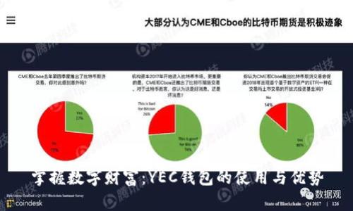掌握数字财富：YEC钱包的使用与优势