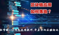轻松掌握Lisk钱包使用技巧，开启你的