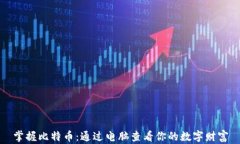 掌握比特币：通过电脑查看你的数字财