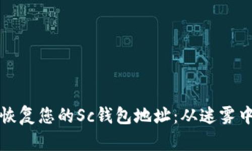 如何成功恢复您的Sc钱包地址:从迷雾中找到光明