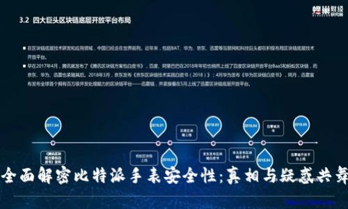 全面解密比特派手表安全性:真相与疑惑共舞