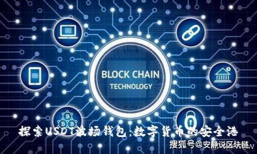 探索USDT波场钱包:数字货币的安全港